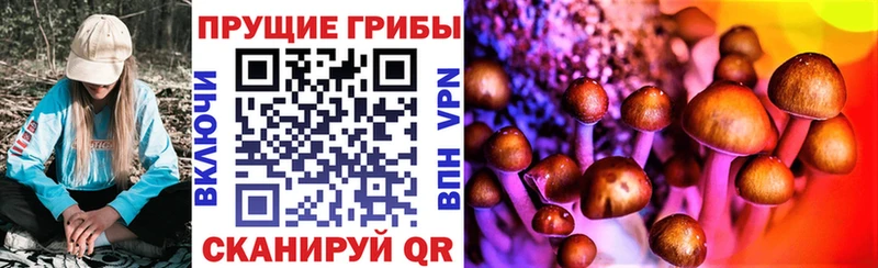 Галлюциногенные грибы Magic Shrooms  наркотики  Долгопрудный 